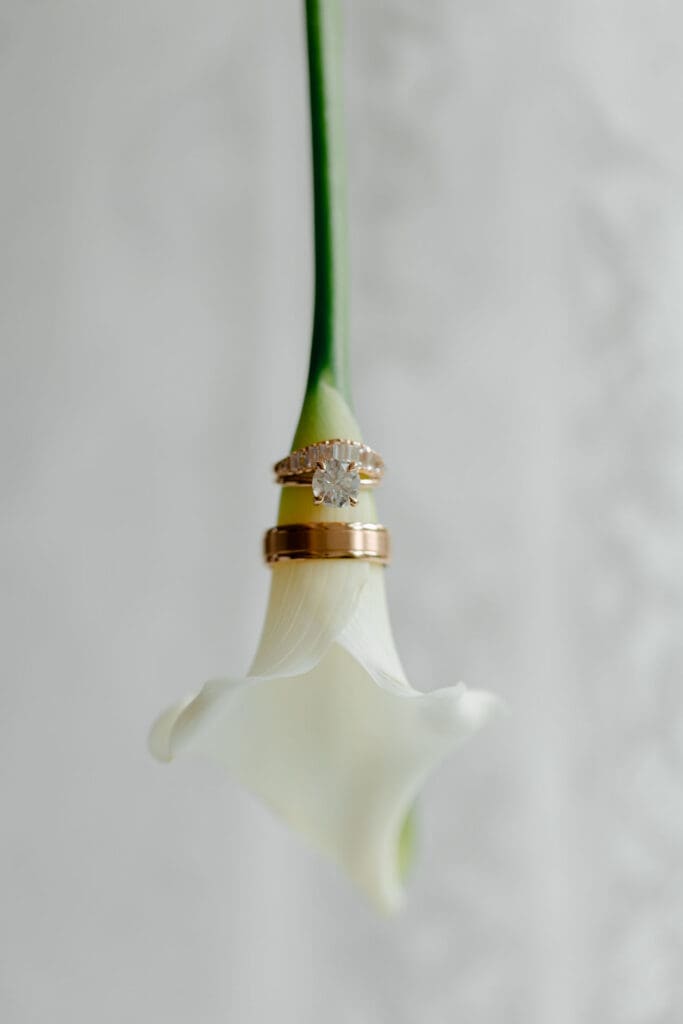 closeup shot of the wedding rings
