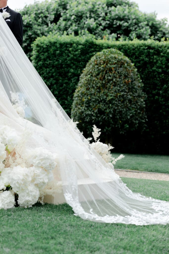stunning closeup shot of the veil